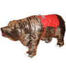 Bionics Bear Walking Animal