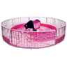 Bucking Bull Simulator