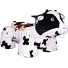 Cute Cow Walking Animal