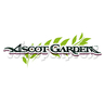 Ascot Garder
