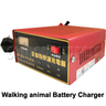 12V/24V Battery Charger for Walking Animal Rider