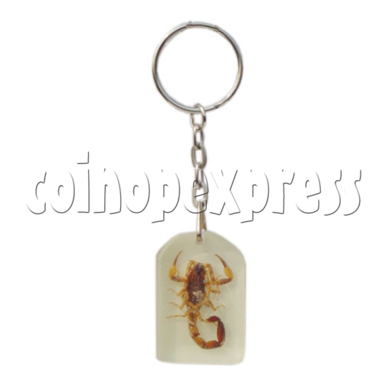 Fluorescence platic stone Key Rings 10271