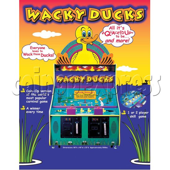 Wacky Ducks 12636