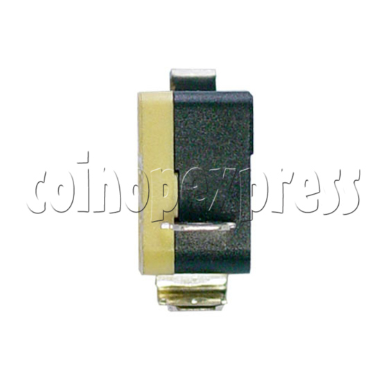 Precision Switch with Auxiliary Actuator 14319