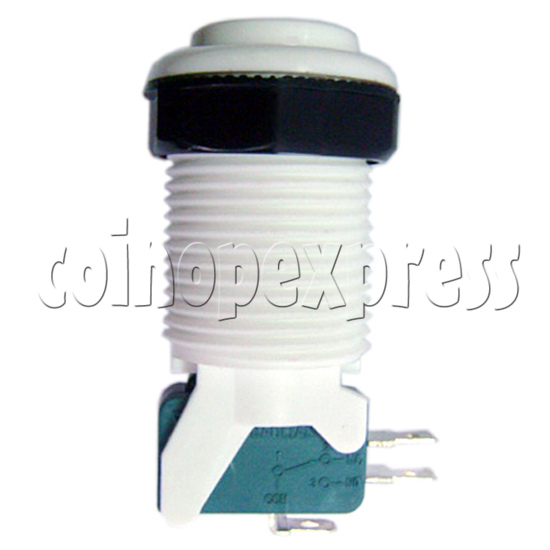 Pushbutton with Horizontal Microswitch - 3P 4P 21020