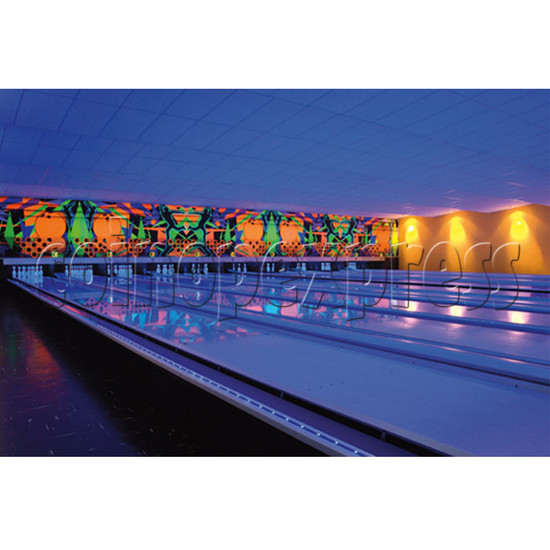 Professional Bowling center (10 lanes) 24659