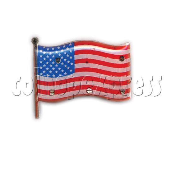 Flag & Statue of Liberty Flashing Pins 9562